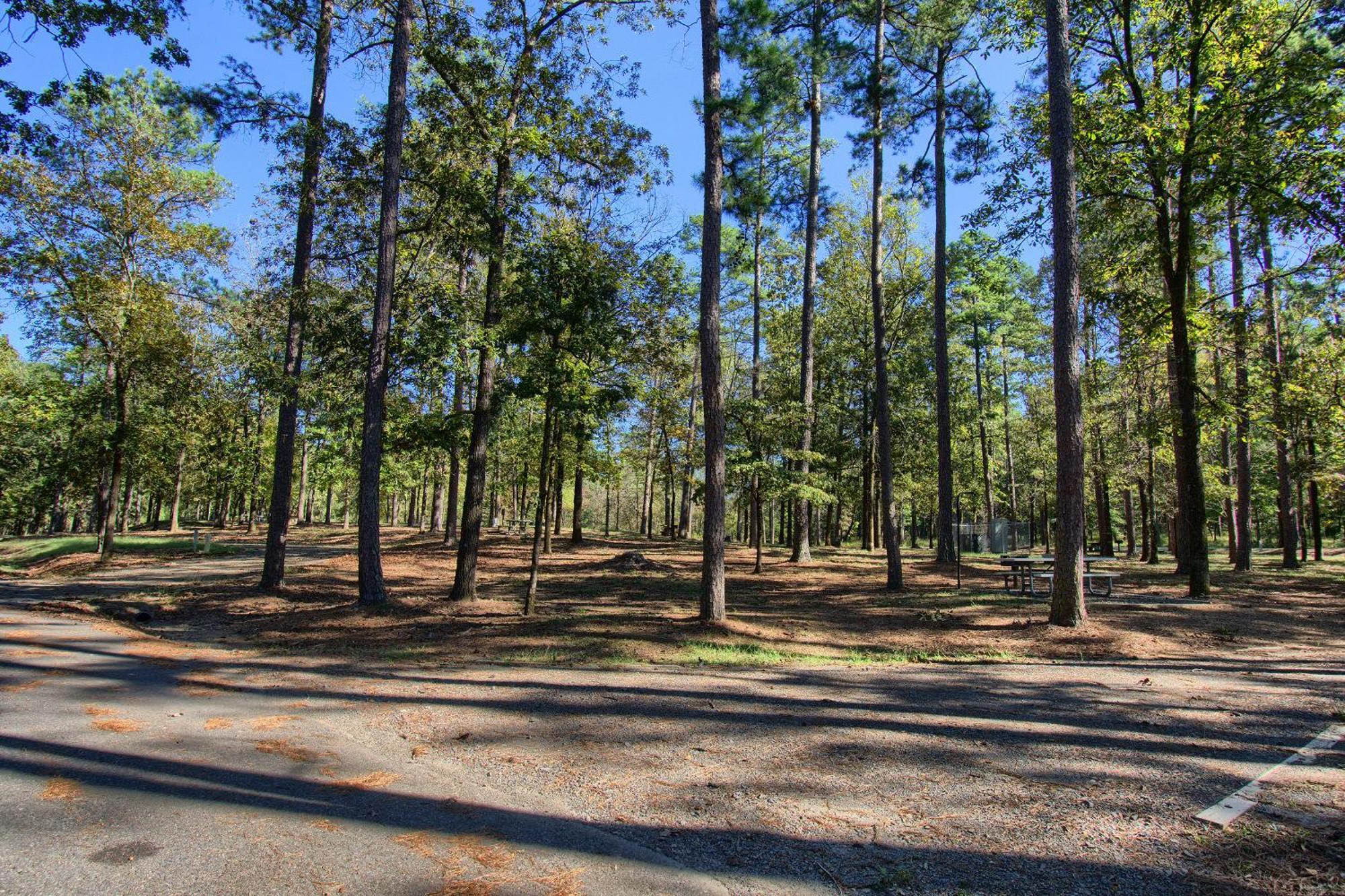 The Americana - Parker Creek Bend Cabins Murfreesboro Dış mekan fotoğraf