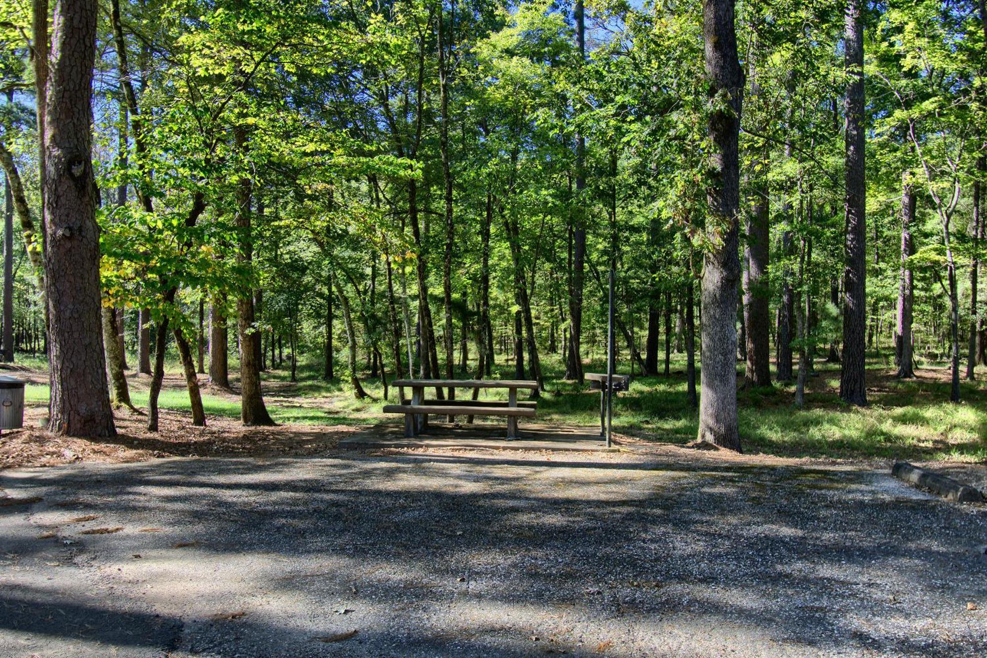 The Americana - Parker Creek Bend Cabins Murfreesboro Dış mekan fotoğraf